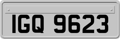 IGQ9623