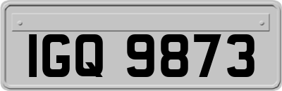 IGQ9873