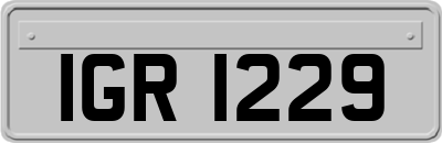 IGR1229