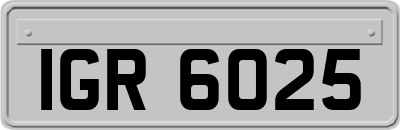 IGR6025