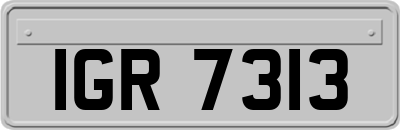 IGR7313