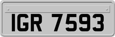 IGR7593