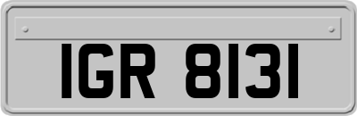 IGR8131