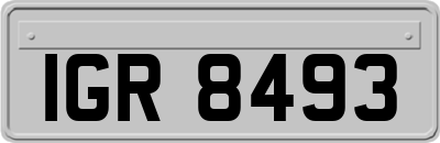 IGR8493