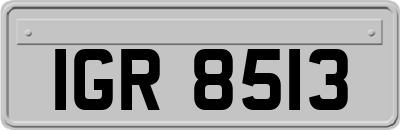 IGR8513