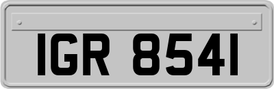 IGR8541
