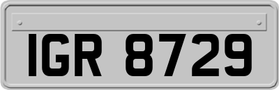 IGR8729