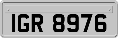 IGR8976
