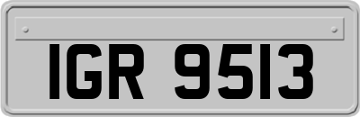 IGR9513