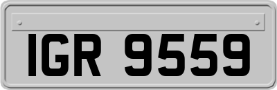 IGR9559