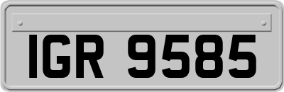 IGR9585