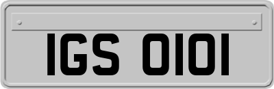 IGS0101