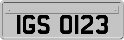 IGS0123