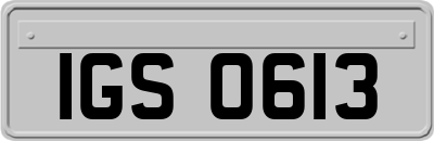 IGS0613