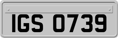 IGS0739