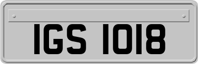 IGS1018