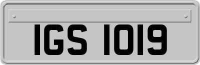 IGS1019