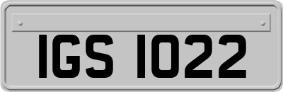 IGS1022