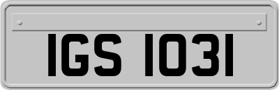 IGS1031