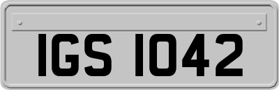 IGS1042