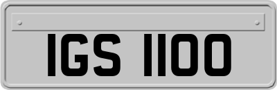 IGS1100