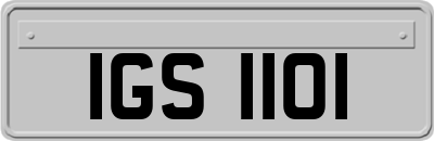 IGS1101