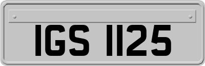 IGS1125