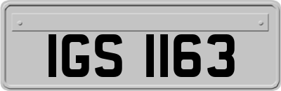 IGS1163