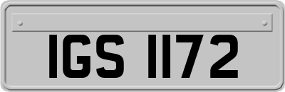 IGS1172