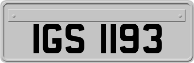 IGS1193