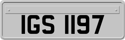 IGS1197