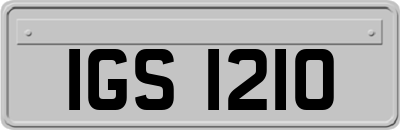IGS1210