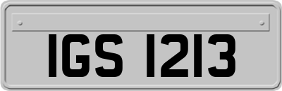 IGS1213