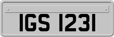 IGS1231