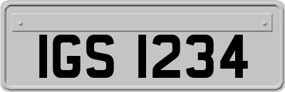 IGS1234