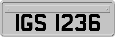 IGS1236