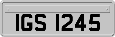 IGS1245