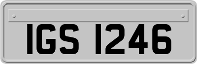 IGS1246