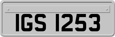 IGS1253