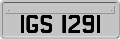 IGS1291