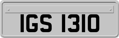 IGS1310