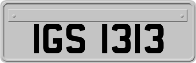 IGS1313