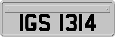 IGS1314