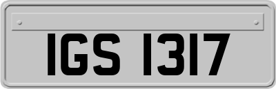 IGS1317