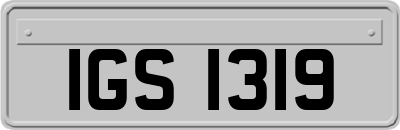 IGS1319