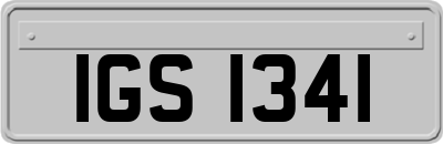 IGS1341