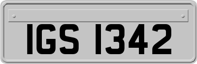 IGS1342