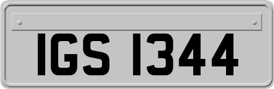 IGS1344