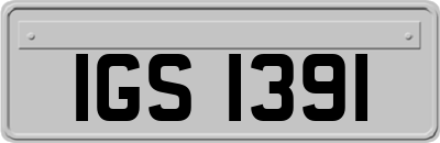 IGS1391