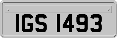 IGS1493